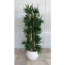 Erhan Flowers Yapay Bambu Ağacı Uzun Yapraklı Dekoratif Küre Saksılı Bitki ( 110 cm )