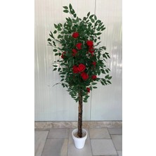 Erhan Flowers Yapay Gül Ağacı - 21 Kafa Dekoratif Saksı 160 cm