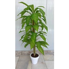 Erhan Flowers Yapay Yukka Ağacı Bambu Gövdeli Dekoratif Yeşil Yapraklı Beyaz Plastik Saksılı Ağaç (120CM )
