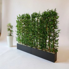 Erhan Flowers 240 cm Saksıda 200 cm 36 Adet Bambulu Sperator