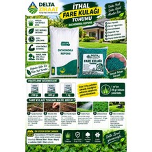 Fito Ithal Fare Kulağı Tohumu Dichondra Repens Çim Tohumu 200 gr / 400 gr / 1 kg