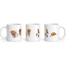 PayBuy Seramik Kupa Golden Retriever Baskılı 300 ml Hediyelik Kahve Çay Kupası Ofis Ev Özel Tasarım