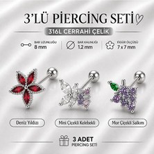 Heppii 3'lü Piercing Seti 316L Çelik Helix Tragus Kıkırdak Deniz Yıldızı Çiçekli Kelebekli Mor Çiçekli Salkım Model 3 Adet Piercing