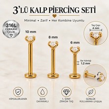 Heppii 3'lü Kalp Piercing Seti 316L Cerrahi Çelik Zirkon Taşlı Tragus Helix Conch Lobe 6-8-10 mm