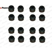 Subap Lastıgı OM699 W470 Master Iı 06>master Iıı 10> Trafıc Iı 06>laguna Iıı 07>15 Navara 15> 2.0dci Payen 7700109840/ 46470334/ 8200496321