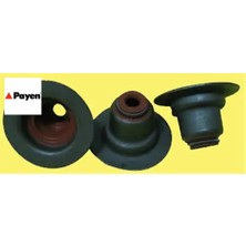 Subap Lastıgı 16 Li Set Renault Clıo I I-Iıı 1.4 1.6 16V K4M 99 Kangoo Megane Iı 1.6 16V Payen 7700103938