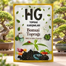 Hg Bonsai Saksı Toprağı
