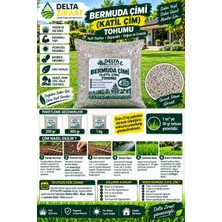 Delta Ziraat Bermuda Çimi (Katil Çim) Tohumu – Yoğun ve Sık Doku – 200 gr / 400 gr / 1 kg