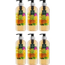 Die Grup Eyüp Sabri Tuncer Bodrum Mandalinası Sıvı Sabun 500 ml x 6