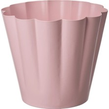 TARNA Kvastspırea Pembe 12 cm Çelik Saksı