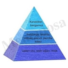 Mey İthalat NO:567 Erkek Fresh Deodorant 150 ml - MNMS150NO567DEO