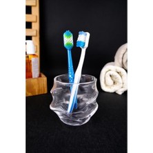 Mey İthalat Fırtına Cam Diş Fırçası ve Macunu Saklama Kabı, 9 Cm, WA.CYH.002 C1-1-288