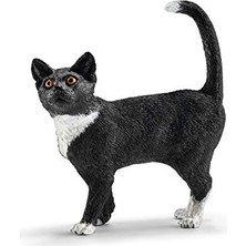 Die Grup Schleich-Farm World-Ayakta Kedi