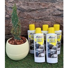 Mey İthalat Kaktüs ve Sukulent Için Sıvı Bitki Besini, 5 Adet 225 ml