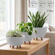 Trendexa Sora Saksı Süzgeçli Ayaklı Delikli Plastik Aranjman Sukulent Saksısı (Krem, 3 Boy)