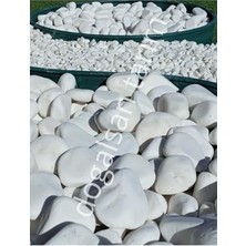 Trendexa Beyaz Dolomit Taş 4 Kg, 6-10 Cm, Dere Taşı, Çakıl Taşı, Saksı, Akvaryum, Teraryum ve Bahçe Taşı
