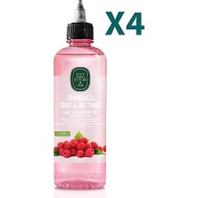 Trendexa Frambuazlı Sirke & Saç Toniği 500 ml x 4
