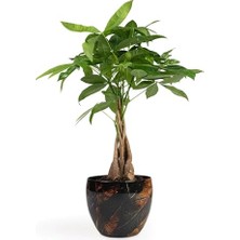 Trendexa Vive El Yapımı Metal L Saksı 21X16 cm