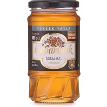 Trendexa Yüksek Yayla Çiçek Balı (Özel Seçim) 460 G