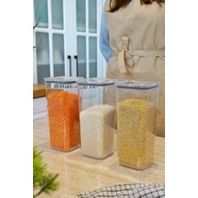 Trendexa 3 x 1,7 Kapaklı Pratik Saklama Kabı, Çok Renkli
