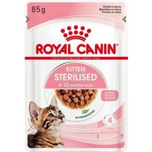 Trendexa Adult Chihuahua Köpekler Için Pouch Konserve Mama 12 x 85 G