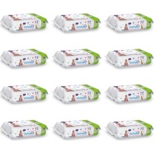 Trendexa Islak Mendil 864 Yaprak (12X72) – Koli