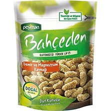 Trendexa Kurutulmuş Dut, 100 G