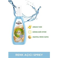 Trendexa Kalıcı Doğal Renkler Renk Açıcı Sprey Saç Boyası