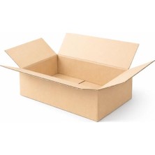 Trendexa 45X30X10 cm Çift Oluklu (Dopel) Koli; Laptop, Gömlek & Yassı E-Ticaret Kutusu