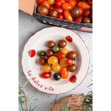 Trendexa Pomodoro Stoneware Yemek Tabağı Seti, 4'lü, 23 cm