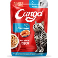 Trendexa Yaş Yetişkin Kedi Maması Somonlu 80 G 24 Adet