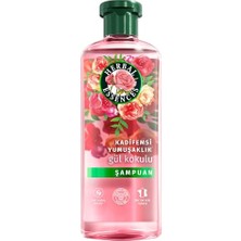 Trendexa Kadifemsi Yumuşaklık Gül Kokulu Şampuan, 350 ml