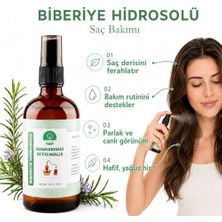 Trendexa %100 Doğal Saf Biberiye Hidrosolü, Saç Bakım Suyu, 100 ml