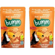 Trendexa Organik Glutensiz Vegan Mangolu Mini Küpler, 30 G, 2'li Paket