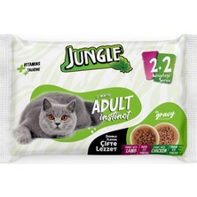 Trendexa Yetişkin Kediler Için Kuzu ve Tavuklu Pouch Mama, 4 x 100 G