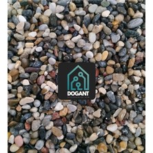Trendexa Dogant Özdoğanlar Avm Dolomit Teraryum Fanus Saksı Dere 2 kg Dekoratif Peyzaj Taşı
