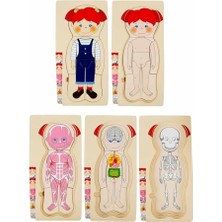 Trendexa Tahta 4x7 Parça Insan Vücudu Puzzle