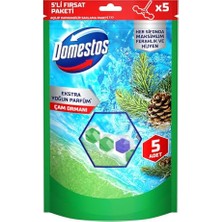 Trendexa Tuvalet Bloğu Çam Ormanı 5'li Güç, 250 Gram