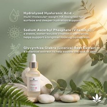 Trendexa Hyaluronic Acid Yüz Serumu - %2.4 Hyaluronik Asit, C Vitamini ve Aloe Vera, Yoğun Nemlendirici Konsantre Bakım, Dolgun ve Canlı Görünüm, Tüm Cilt Tipleri Yüz Bakımı, 30 ml / 1 Fl Oz