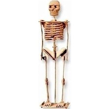 Tr Ahşap 3D Puzzle Iskelet Maketi