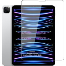 Trendexa IPad Pro 11 Inç M2 Uyumlu Temperli Ekran Koruyucu Kırılmaz Cam 4. Nesil 2022