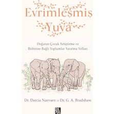 Diyojen Yayıncılık Evrimleşmiş Yuva