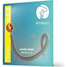 Trendexa Coated Seri Elektro Gitar Teli, Uzun Ömürlü, Parlak Ton, Yüksek Dayanıklılık, 09-42 Süper Light