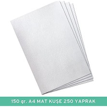 Trendexa 150 G A4 Mat Kuşe Kağıt, 250 Yaprak