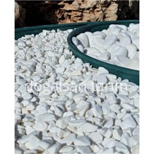 Tr Beyaz Dolomit Taş 1 kg 1-2 cm Dere Taşı Çakıl Taşı Saksı Taşı Akvaryum, Teraryum Taşı