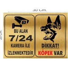 Trendexa Pvc Dikkat Köpek Var ve 7/24 Kamera ile Izlenmektedir Uyarı Levhası, Altın Rengi, 30X20 cm