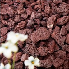 Trendexa Dekoratif Kırmızı Pomza Taşı, 20 L, 1,5-2,5 Cm, Tarım Pomzası, Bahçe Saksı ve Teraryum Için