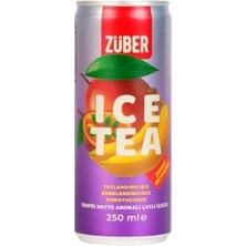 Trendexa Züber Ice Tea Tropik Meyve Aromalı 250 ml