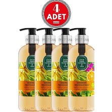 Trendexa Bodrum Mandalinası Doğal Zeytinyağlı Sıvı Sabun 500 ml x 4 Adet