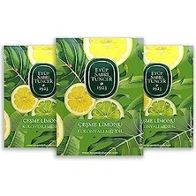 Trendexa 50'li 3 Adet Çeşme Limonu Kolonyalı Mendil x
